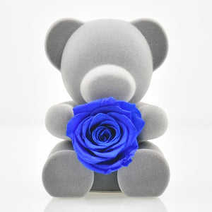 Handmade Preserved  Rose Flower Teddy Bear