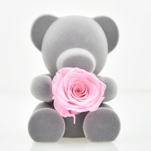 Handmade Preserved  Rose Flower Teddy Bear