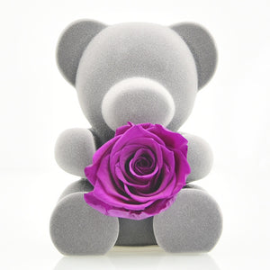 Handmade Preserved  Rose Flower Teddy Bear