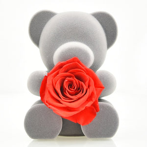 Handmade Preserved  Rose Flower Teddy Bear