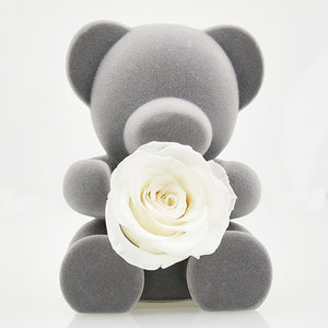 Handmade Preserved  Rose Flower Teddy Bear