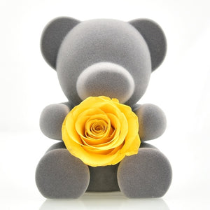 Handmade Preserved  Rose Flower Teddy Bear